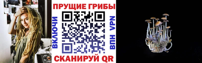 Галлюциногенные грибы ЛСД хочу наркоту Мурино